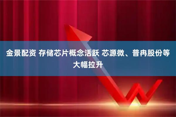 金景配资 存储芯片概念活跃 芯源微、普冉股份等大幅拉升