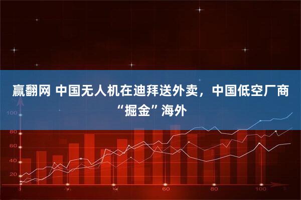 赢翻网 中国无人机在迪拜送外卖，中国低空厂商“掘金”海外
